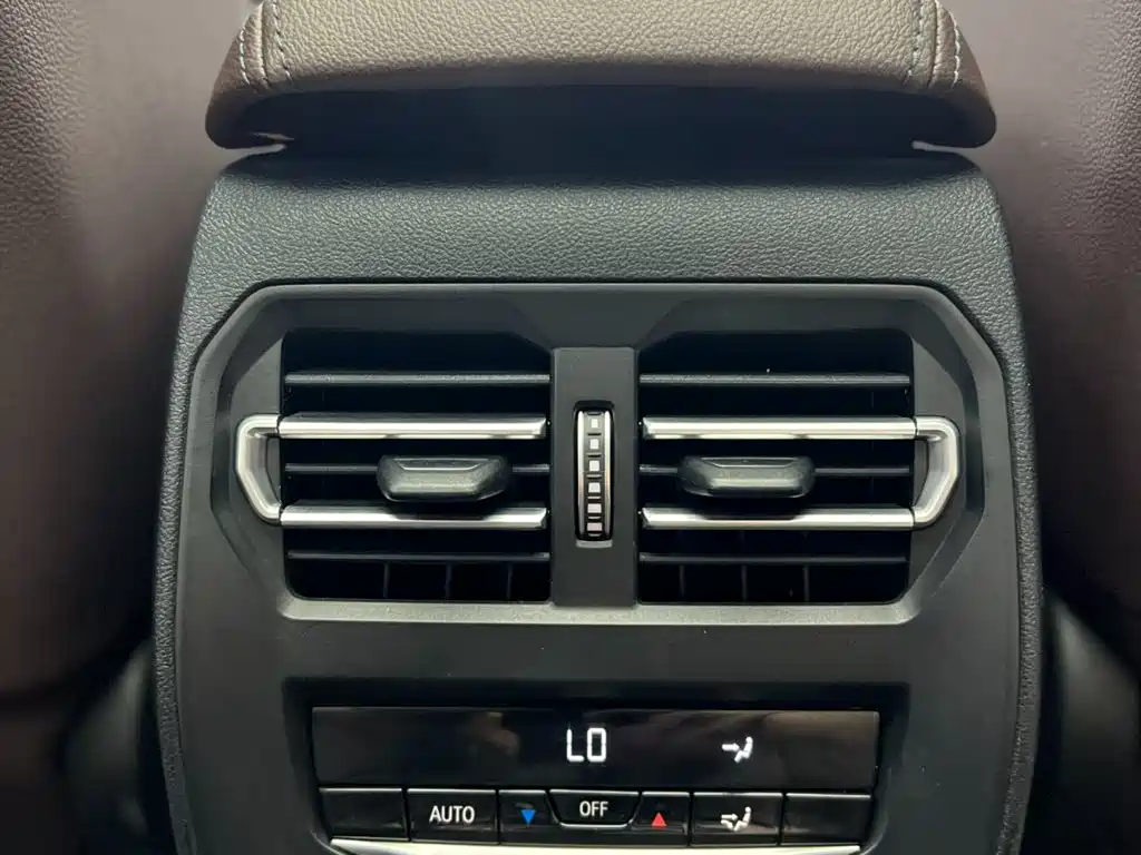 BMW 3 Series 2022 320Li M Sport Package фото 20