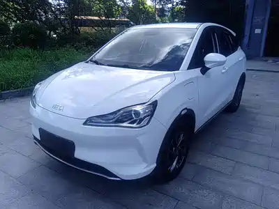 Neta V