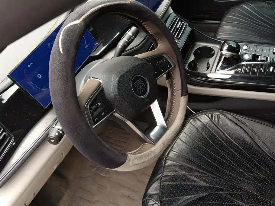 BYD Qin PLUS 2024 Glory Edition DM-i 55KM Leading фото 15