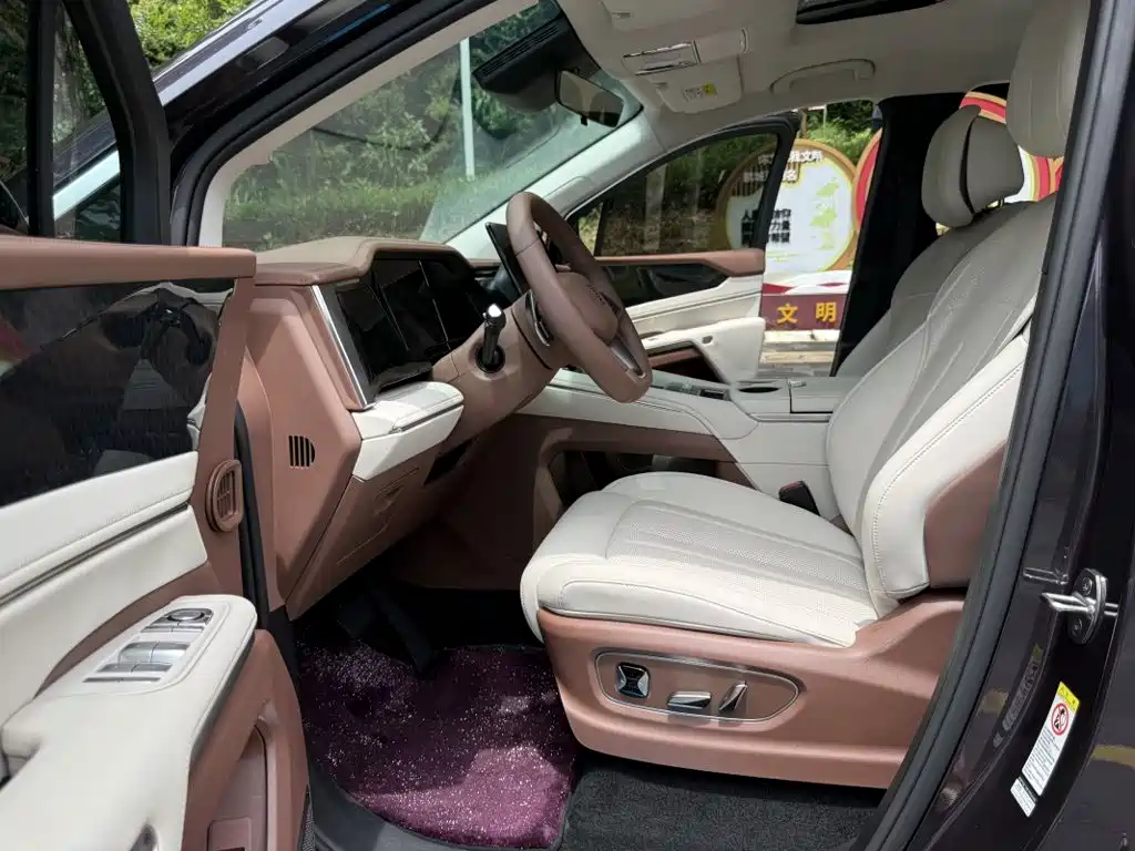 BYD Xia 2025 2025 DM-i 1.5T 100km Surpass Edition