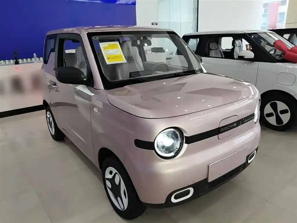 Geely Galaxy Panda 2025 Panda mini 210km Vitality Bear фото 4