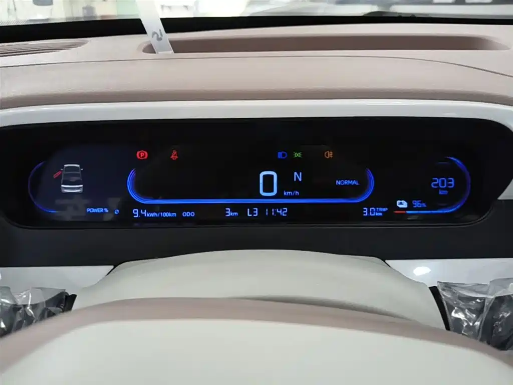 Geely Galaxy Panda 2025 Panda mini 210km Vitality Bear фото 12