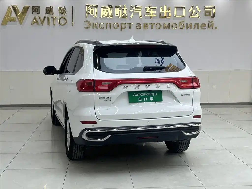 HAVAL M6
