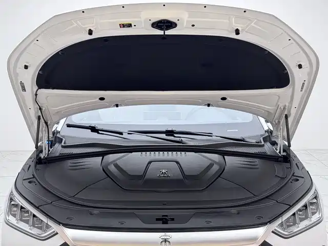 BYD Song PLUS PHEV 2021 DM-i 51KM Honor фото 13