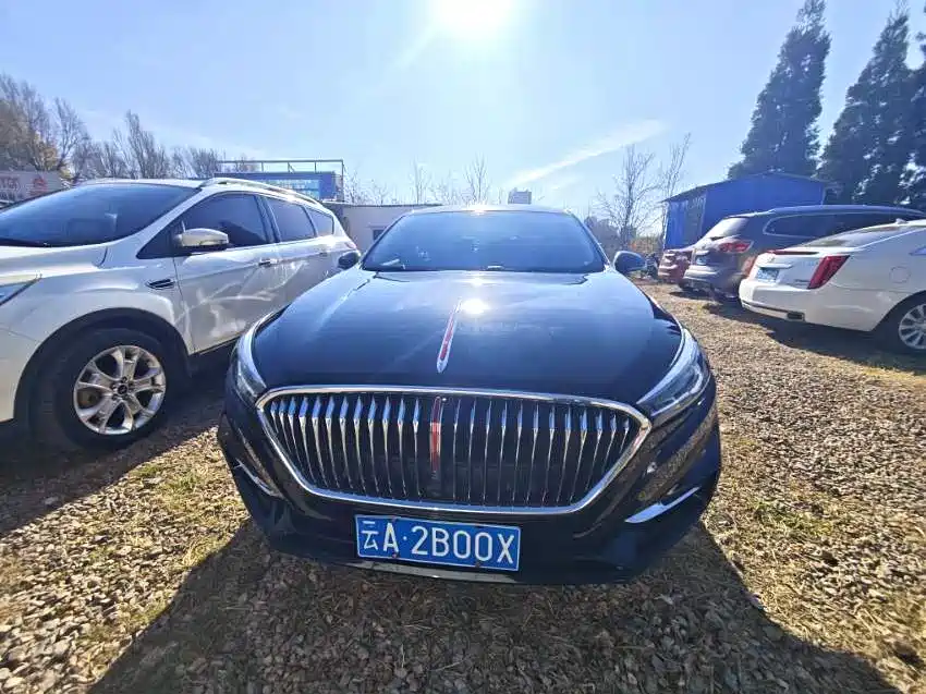 Hongqi H5 2022 Classic 1.5T DCT Flag Rhythm Edition фото 2