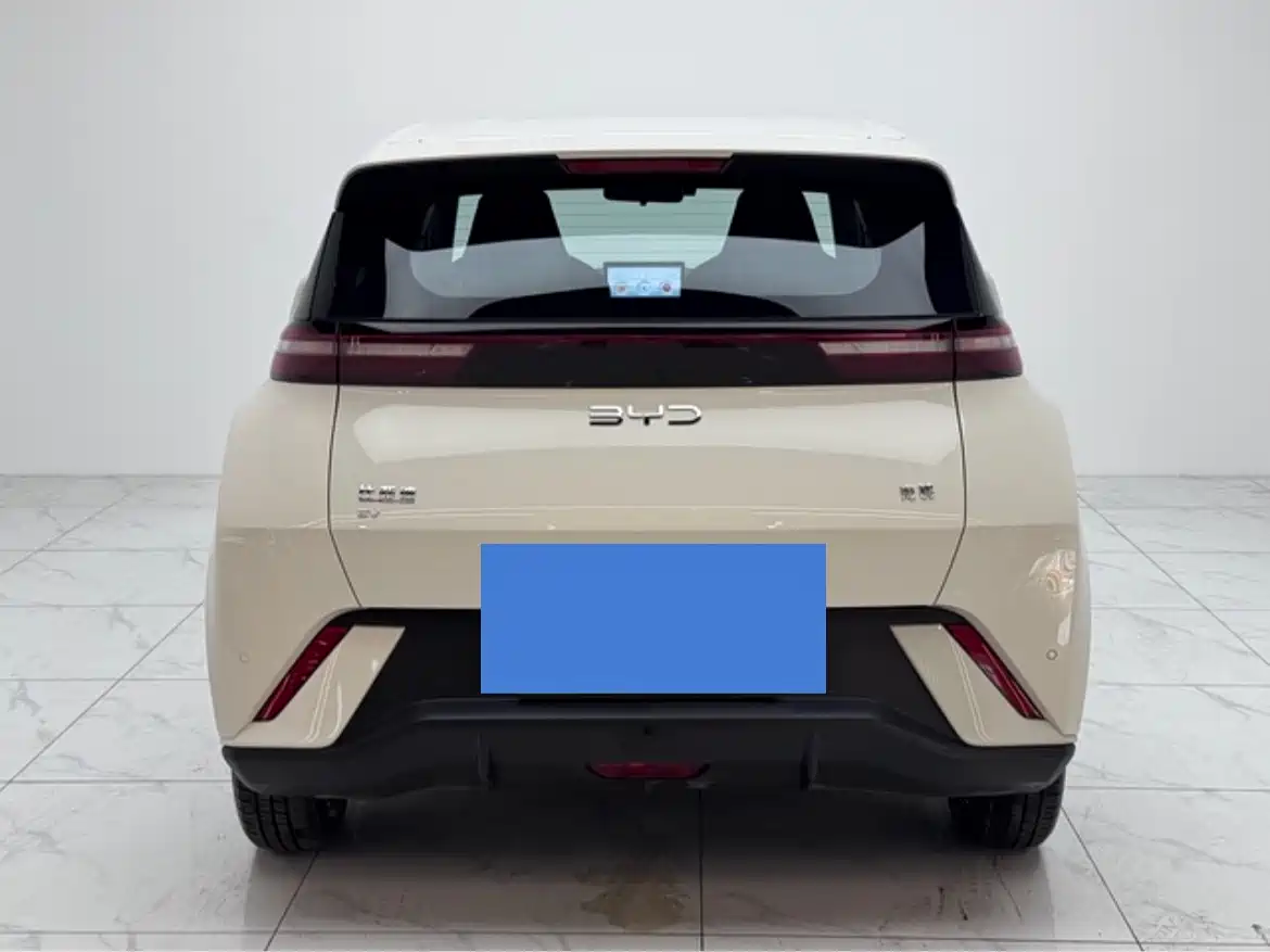 BYD Seagull 2025 305km Vitality фото 6