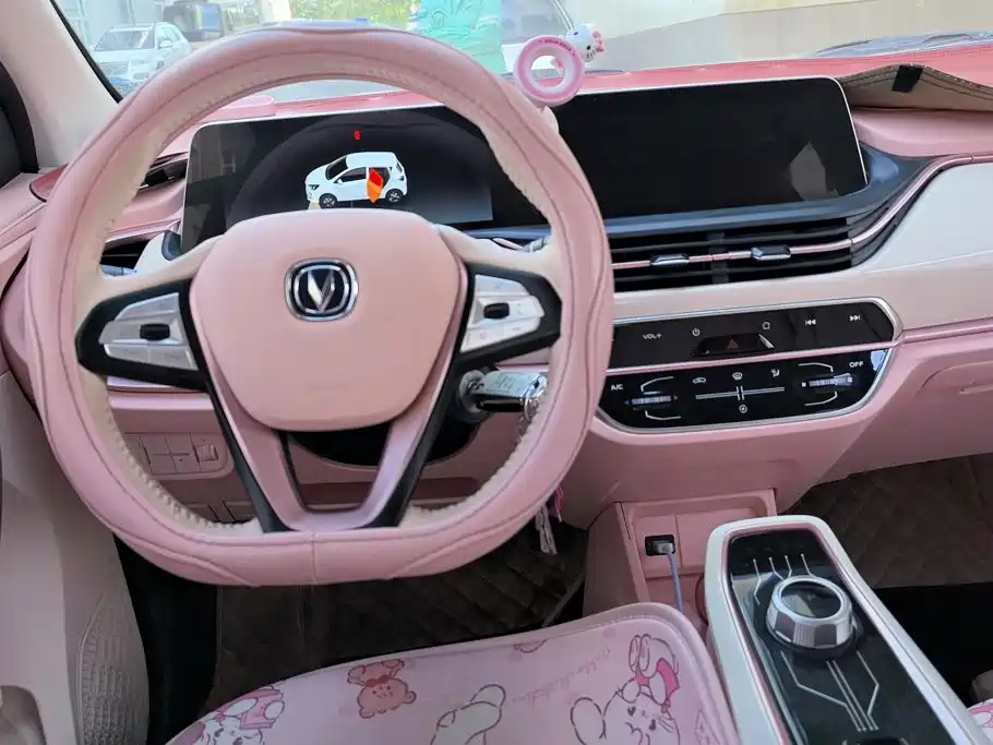 Changan Benben E-Star 2022 2022 Appreciation Edition Colorful LFP
