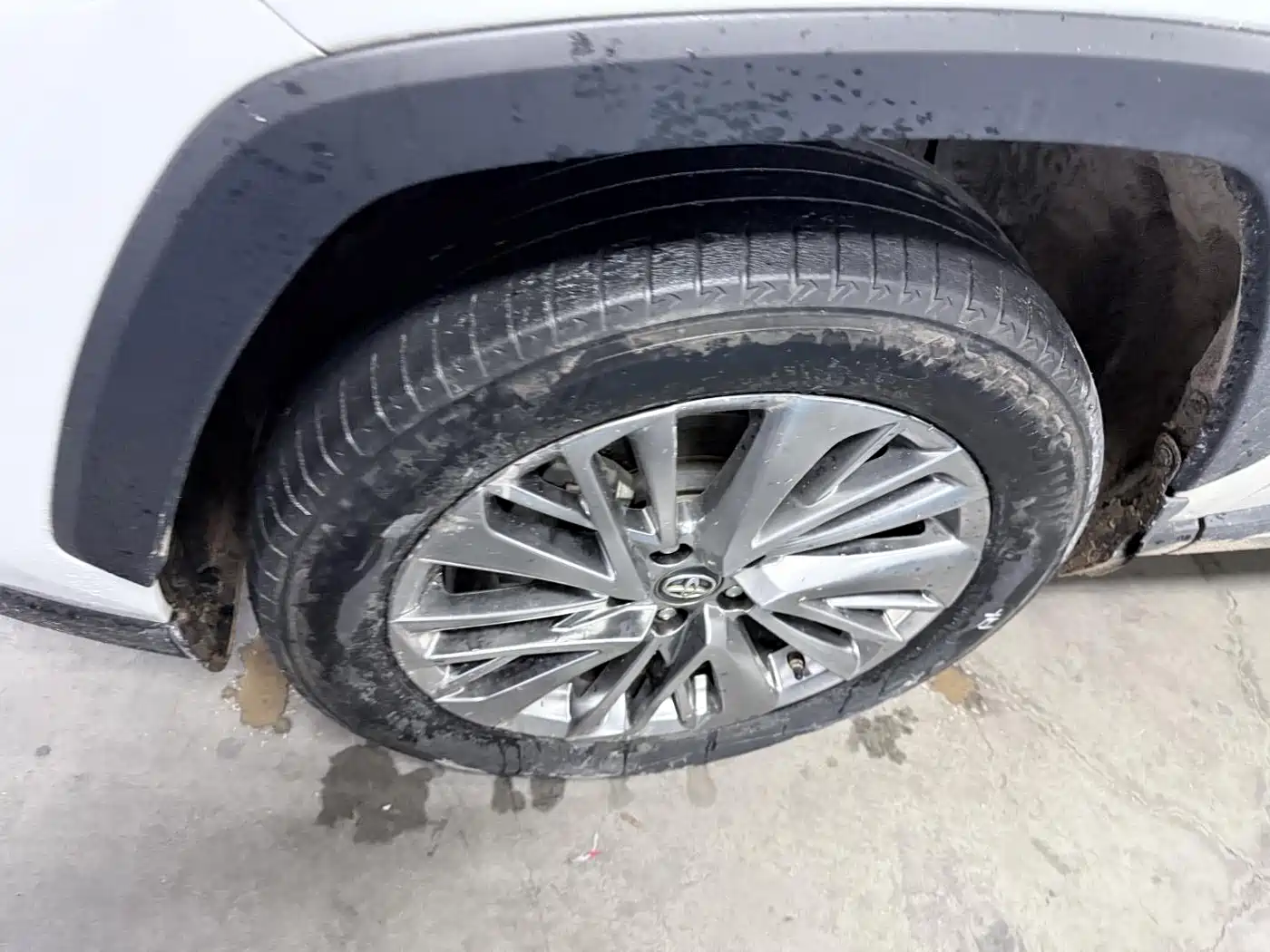 Toyota Wildlander 2020 2.0L CVT AWD Premium Edition фото 8