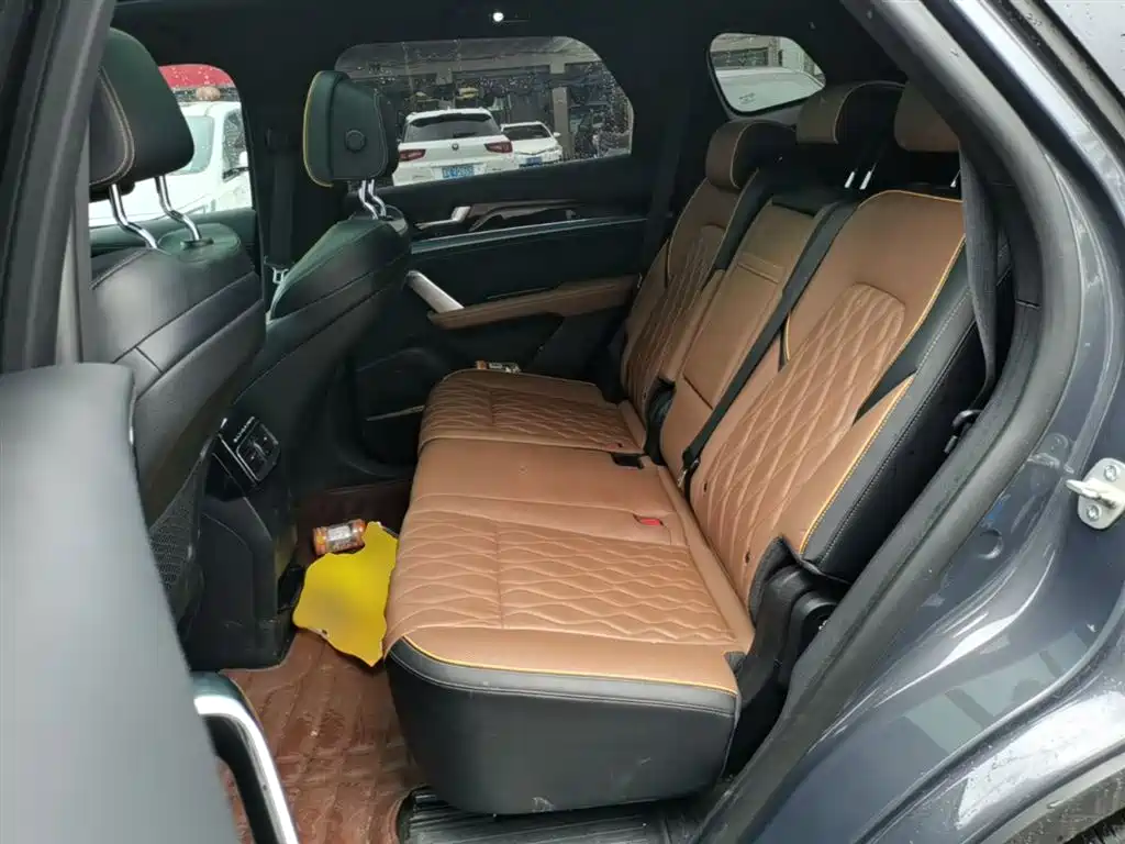 BYD Tang New Energy 2021 DM-i 112KM Honor фото 17