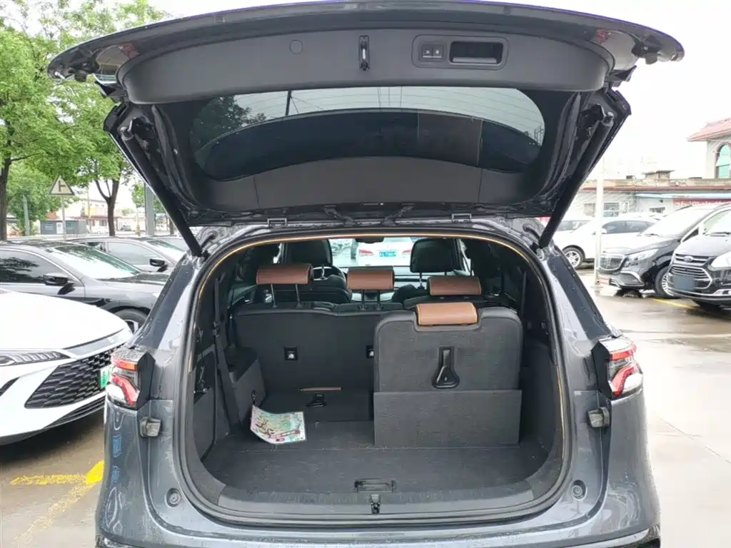 BYD Tang New Energy 2021 DM-i 112KM Honor фото 19