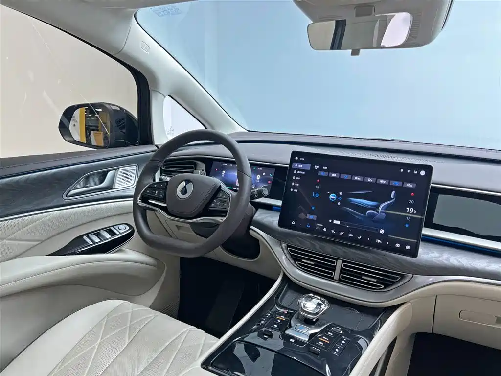 Denza D9 2024 DM-i 980 AWD Premium фото 26