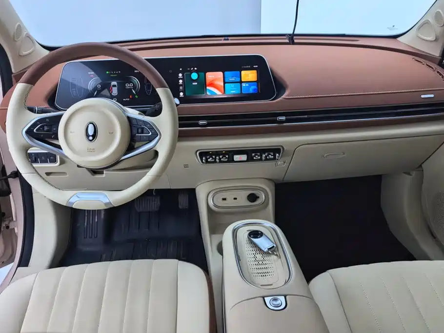 Ora Good Cat 2024 2023 401km Standard Range Luxury LFP