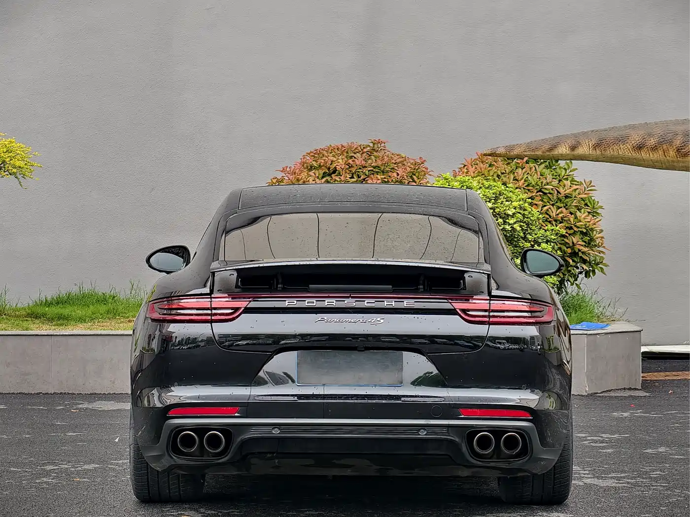 Porsche Panamera 2017 Panamera 4S 2.9T фото 14