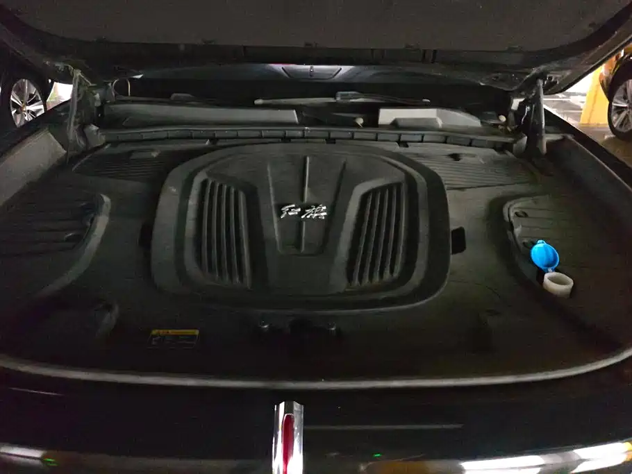 Hongqi E-HS9 2023 2021 460km Flagship Comfort 6-seater