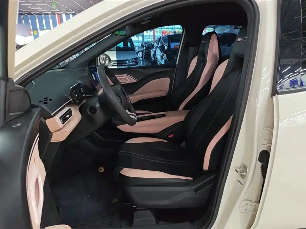 BYD Seagull 2023 Vitality Edition фото 15
