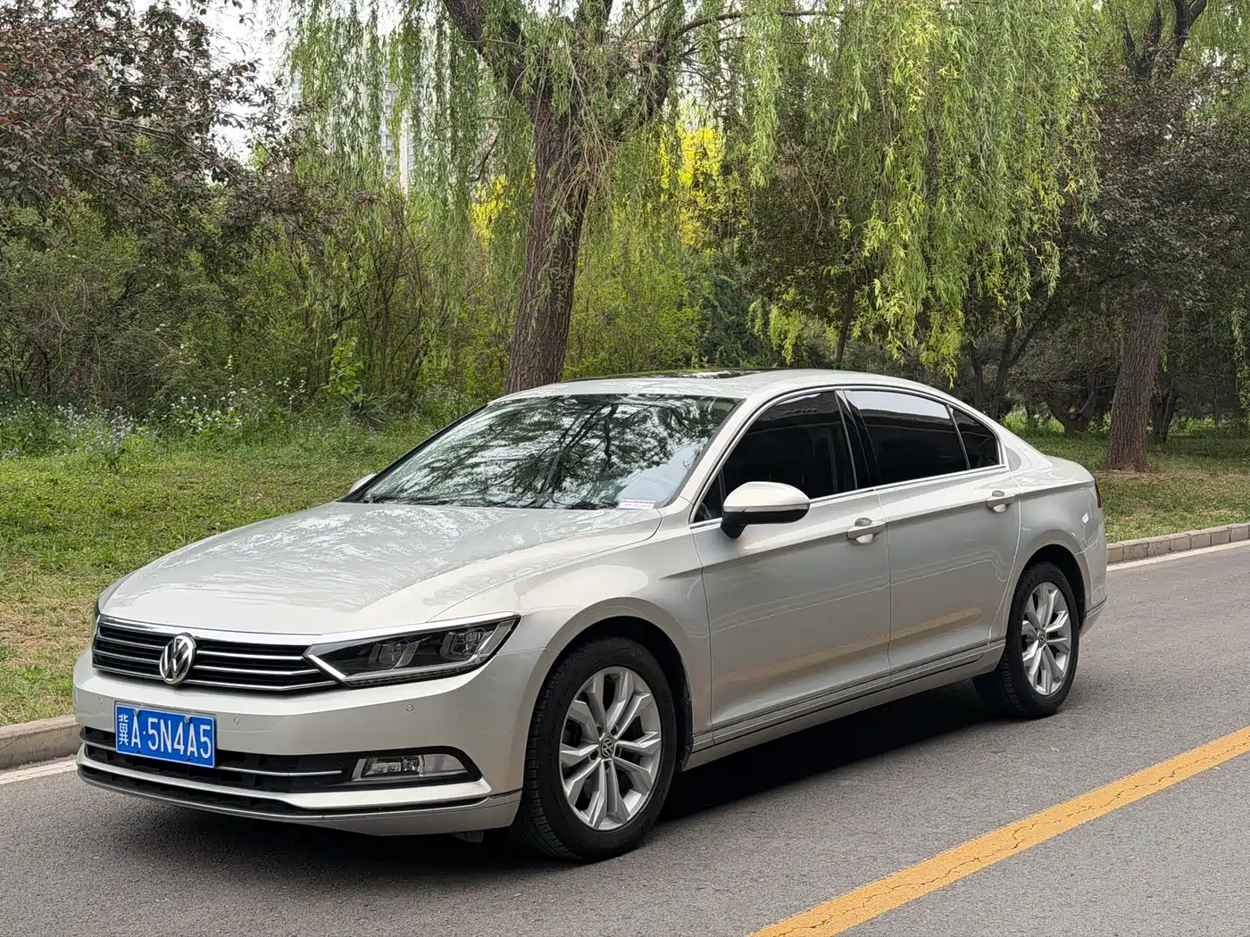 Volkswagen Magotan 2017 330TSI DSG Luxury