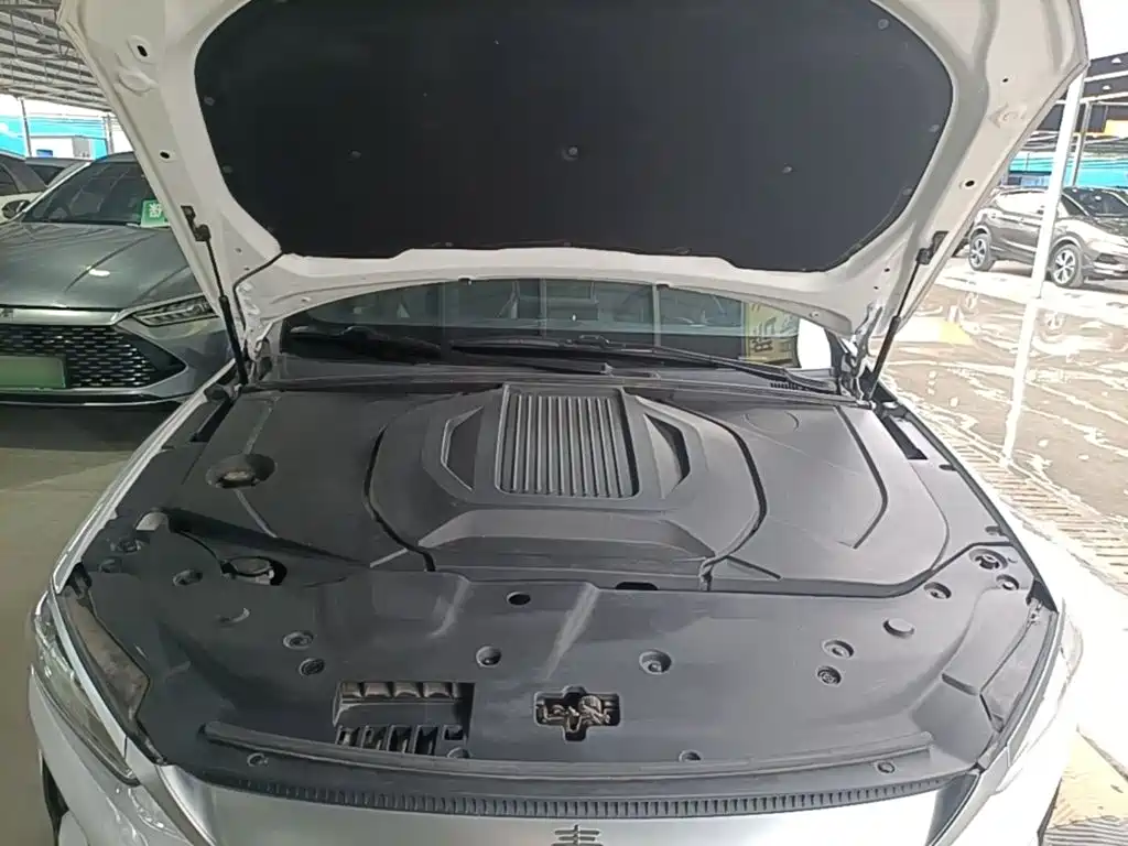 BYD Qin PLUS 2021 2021 EV 400KM Luxury Model