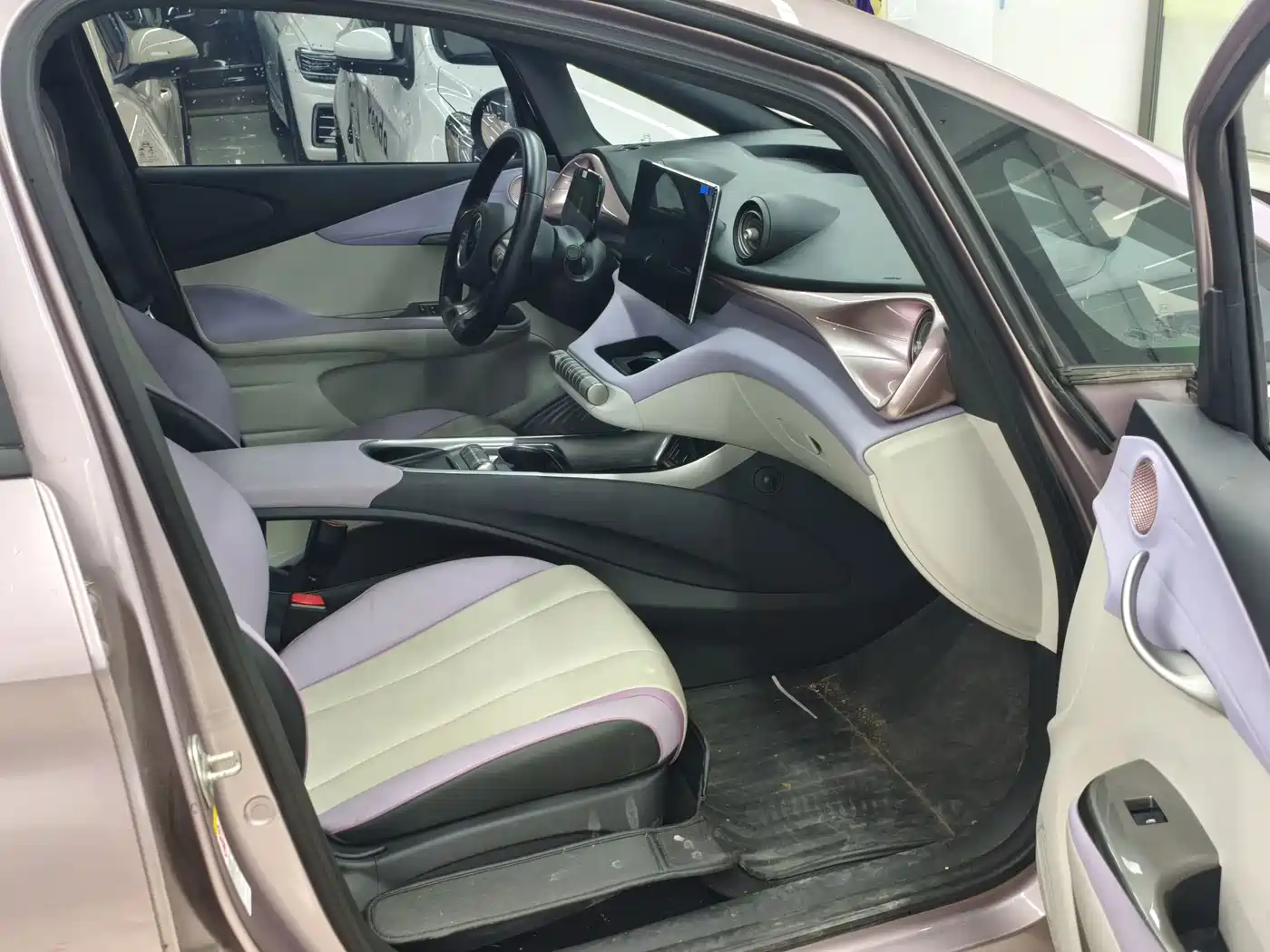 BYD Dolphin 2022 2021 Model 405km Fashion Edition