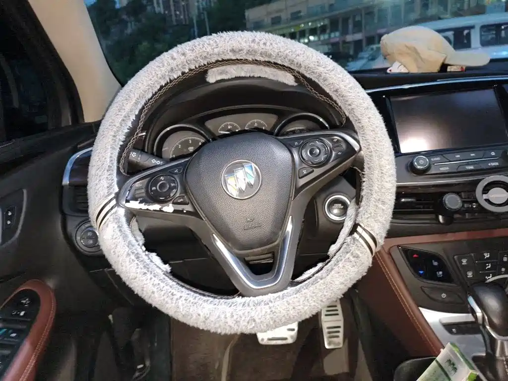 Buick Envision Plus 2017 28T AWD Luxury фото 3