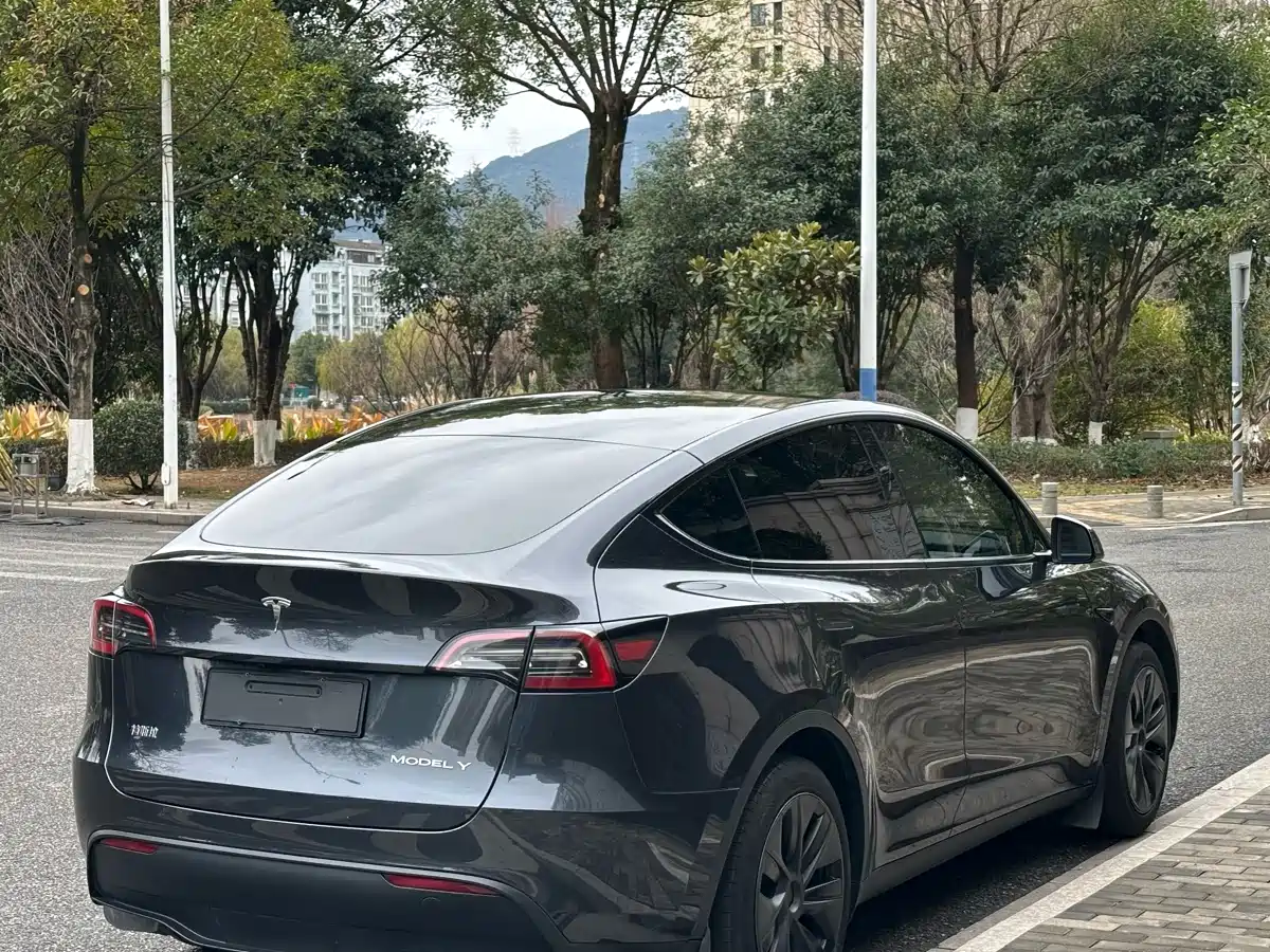 TESLA MODEL Y