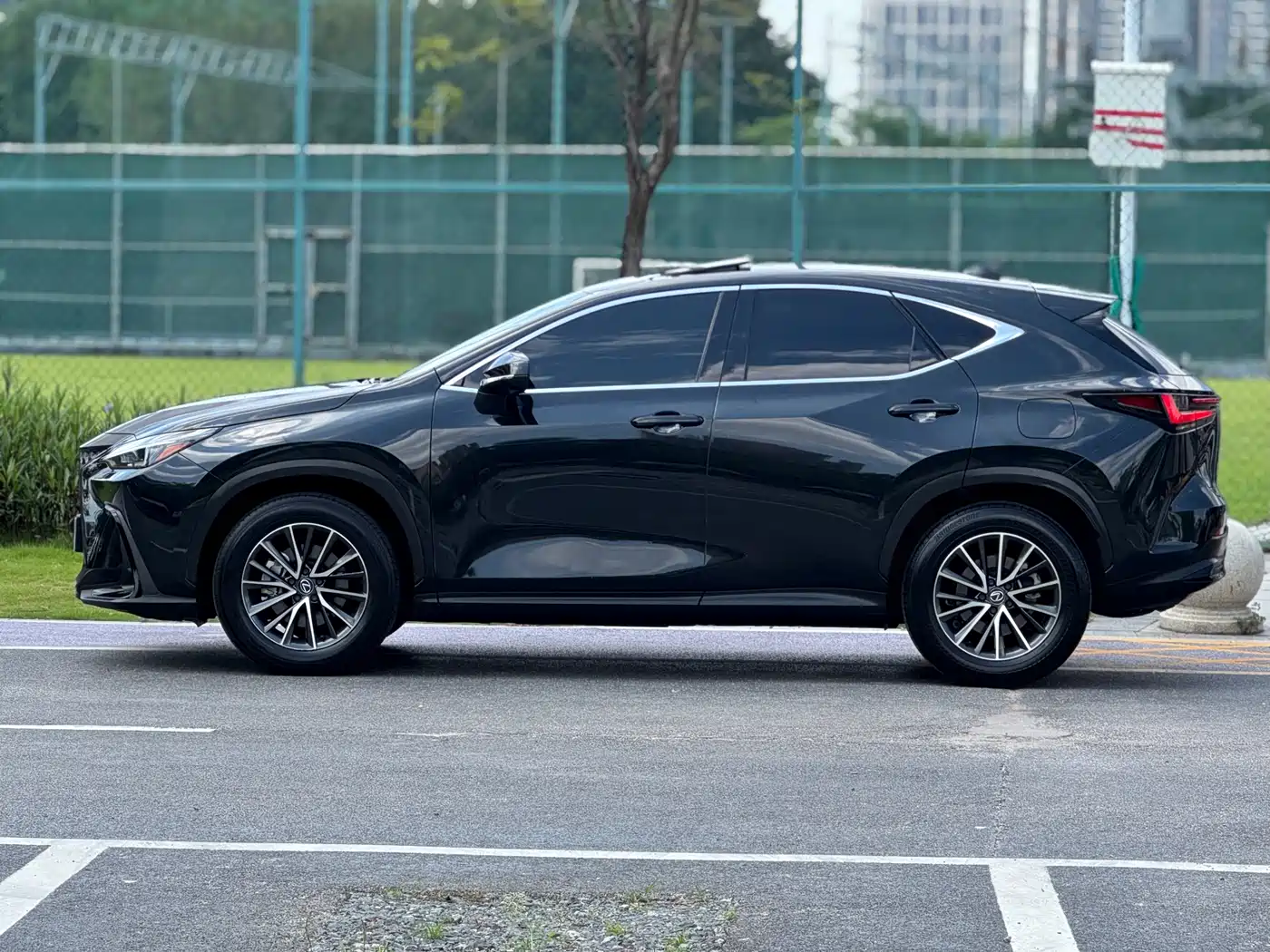 LEXUS NX