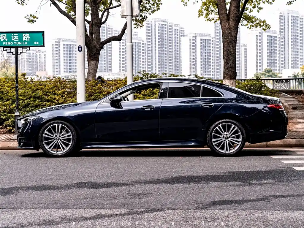 Mercedes-Benz CLS 2018 CLS 300 Luxury фото 2