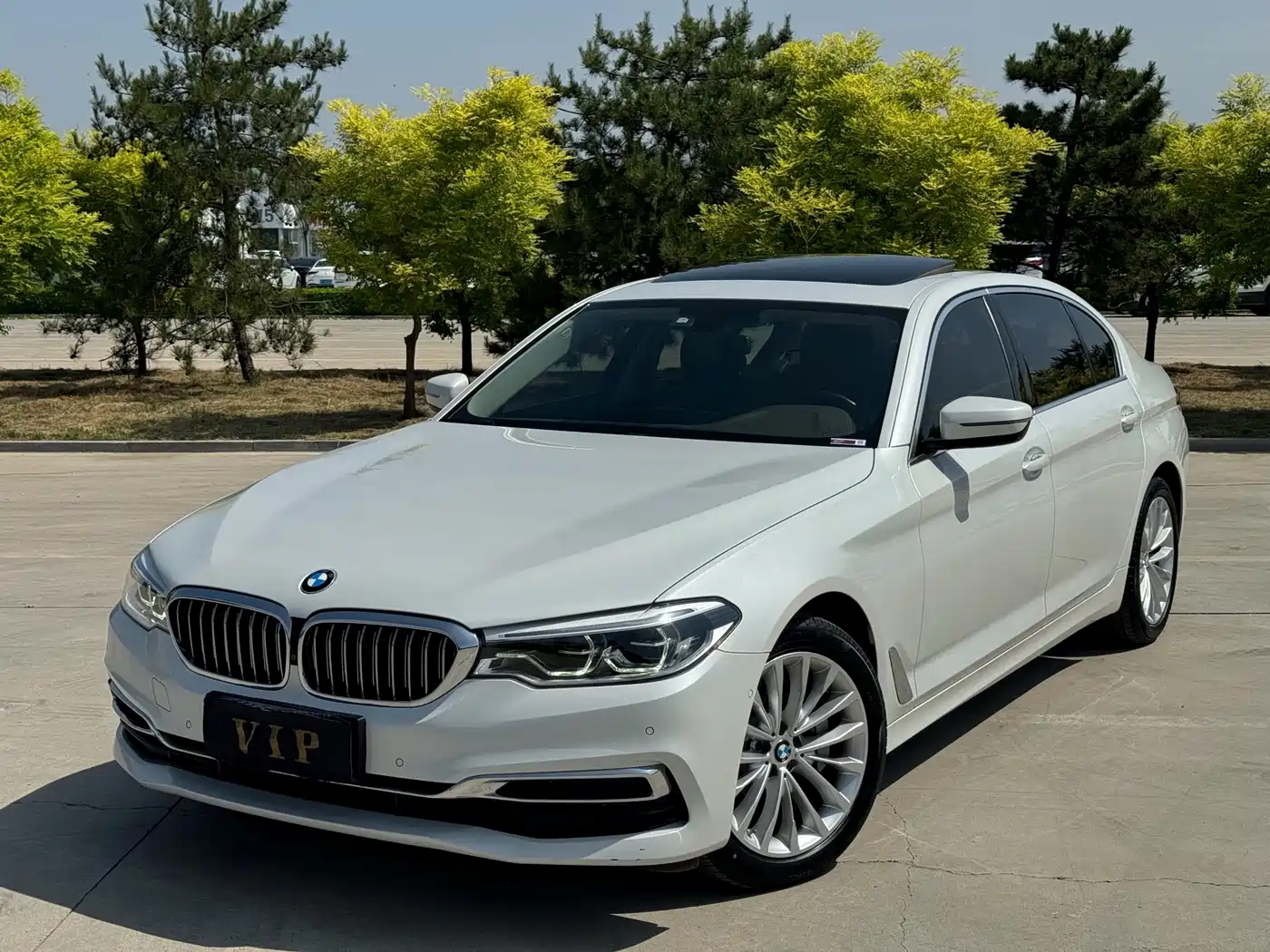 BMW 5 Series 2020 530Li xDrive Luxury Package