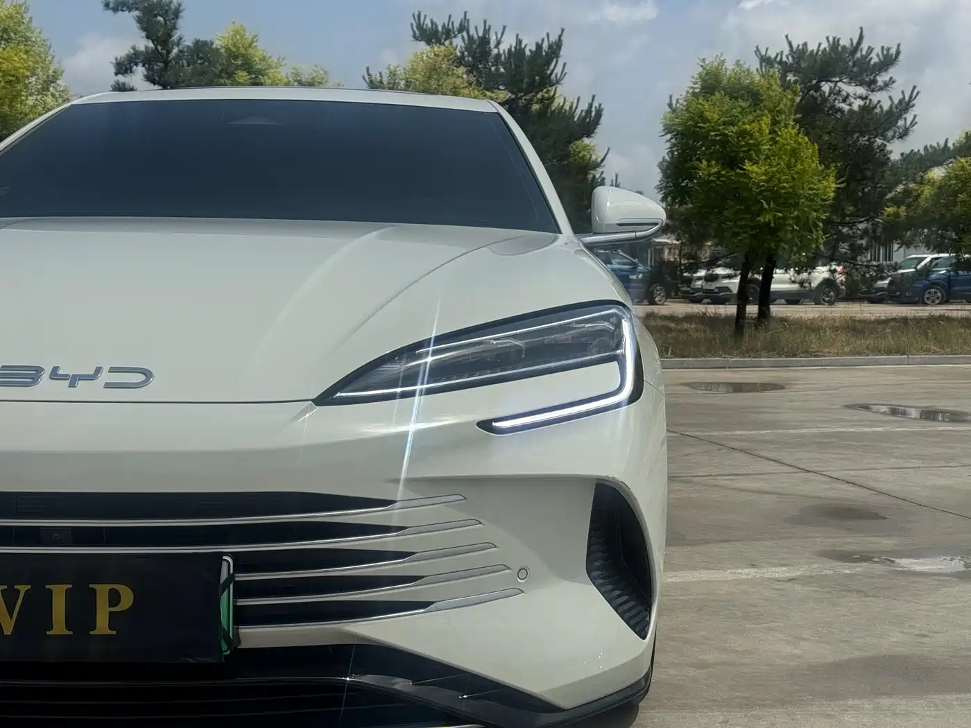 BYD Seal 2024 Glory Edition DM-i 1.5L 121km Luxury фото 4