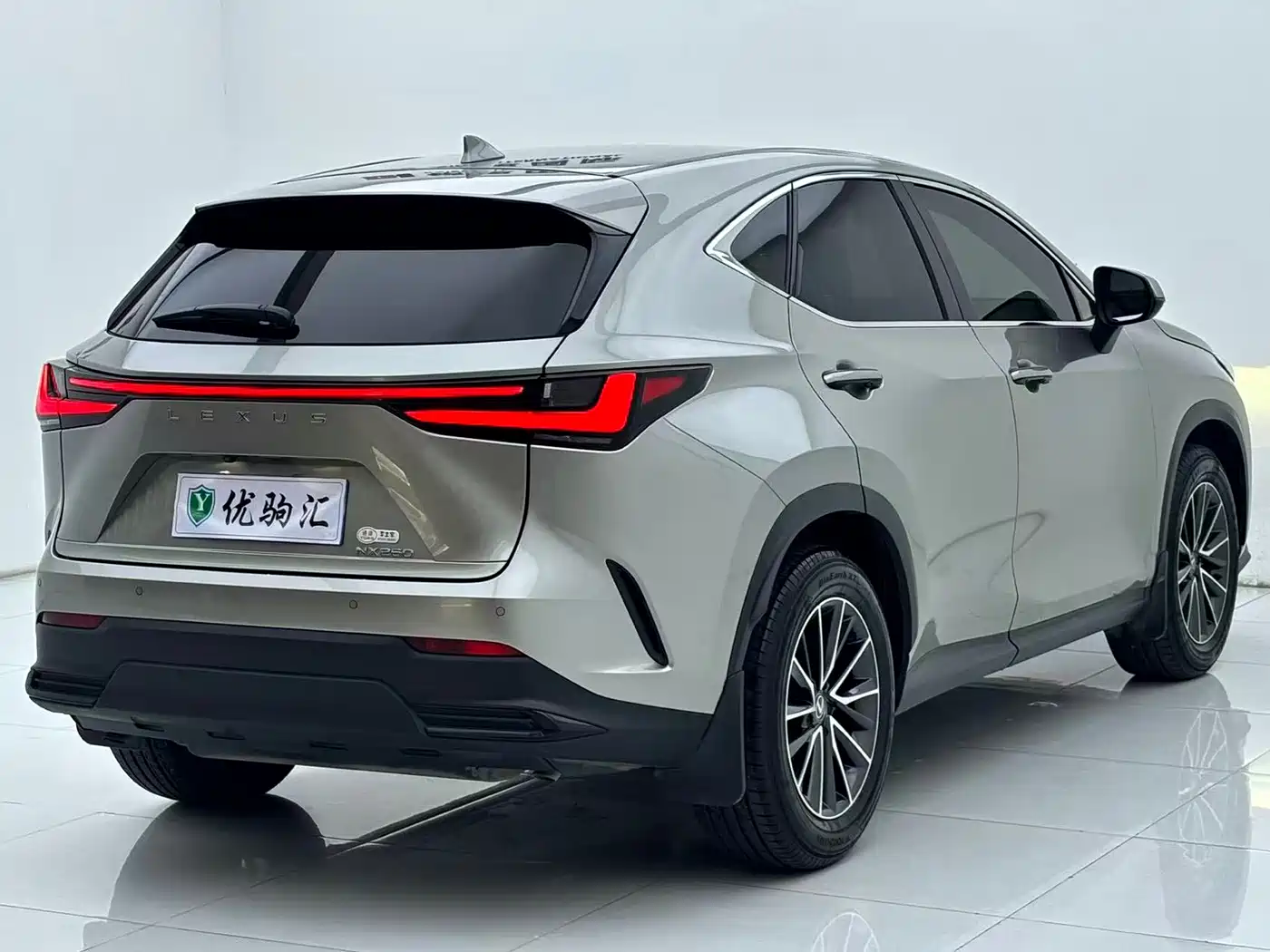 Lexus NX 2024 2023 260 FWD Joy Creation Edition