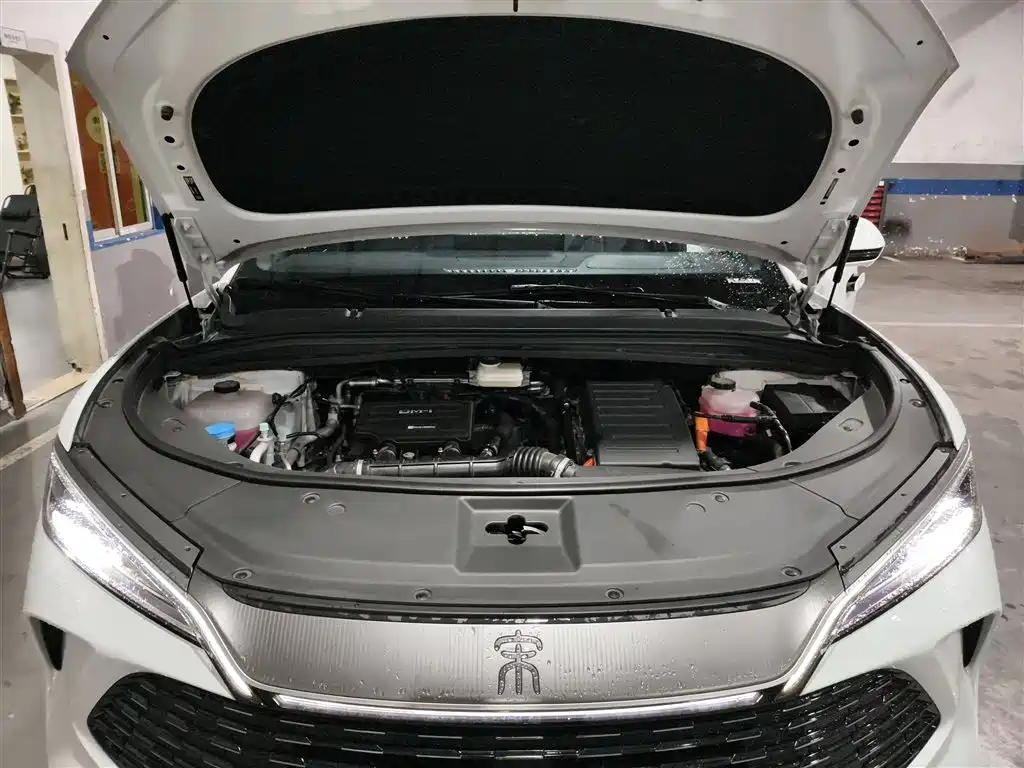 BYD Song L DM-i 2025 Smart Drive 160km Premium фото 20
