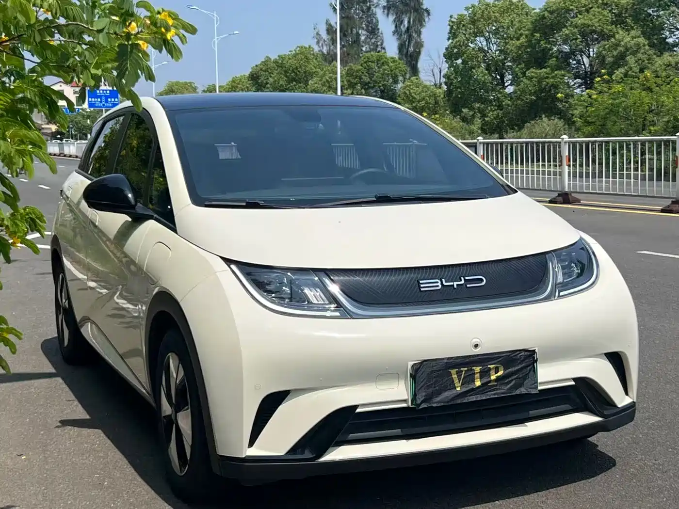 BYD Dolphin 2023 420km Fashion Edition фото 3