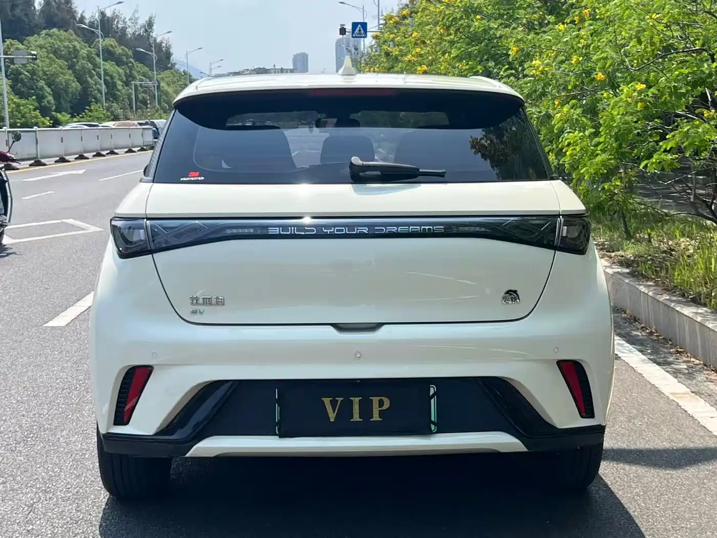 BYD Dolphin 2023 420km Fashion Edition фото 4