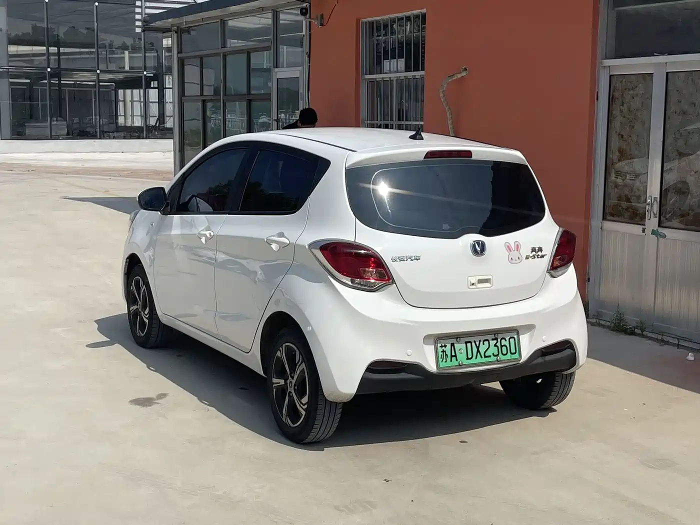Changan Benben E-Star 2022 2022 Appreciation Edition Colorful LFP