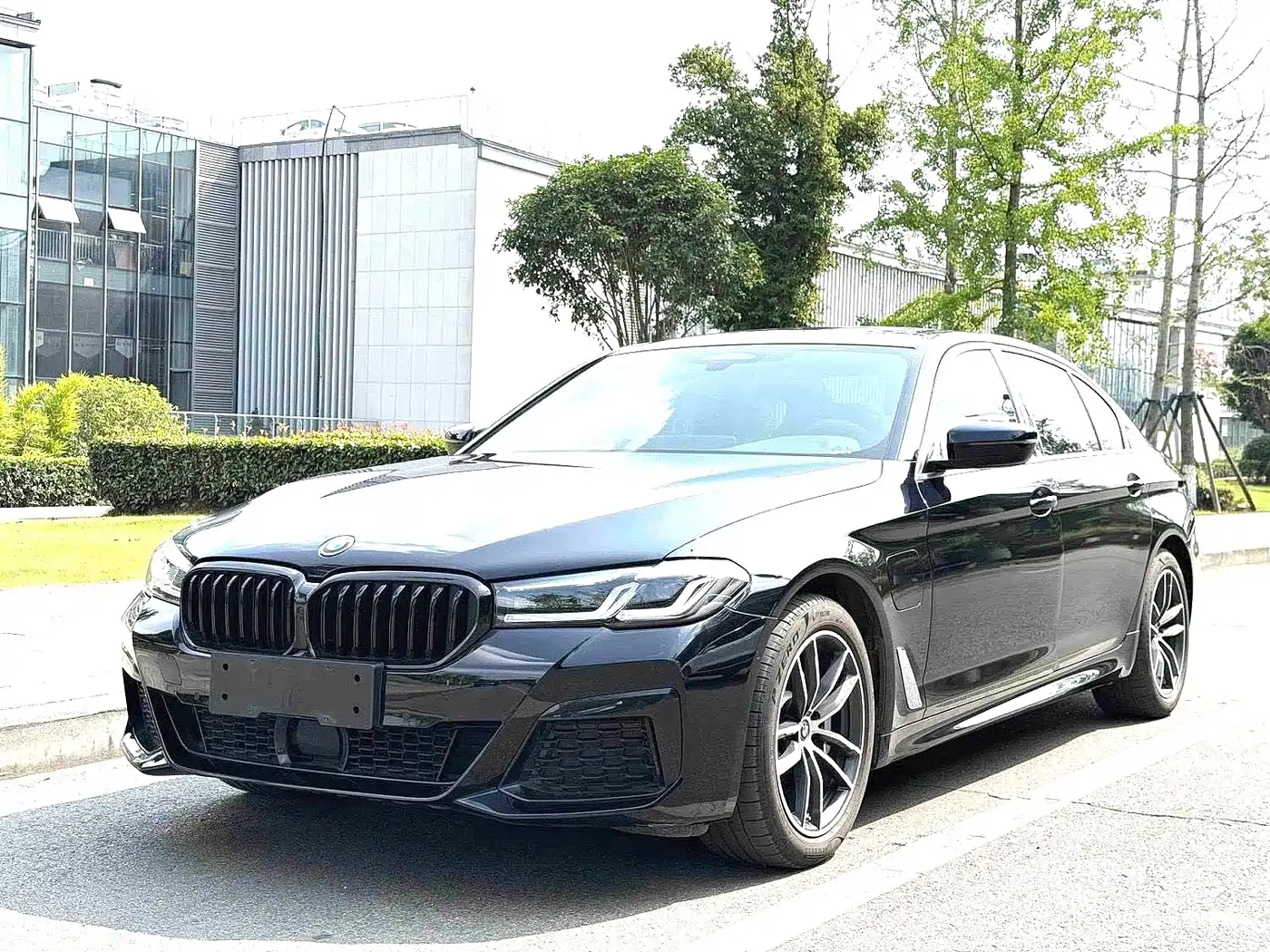 BMW 5 Series New Energy 2022