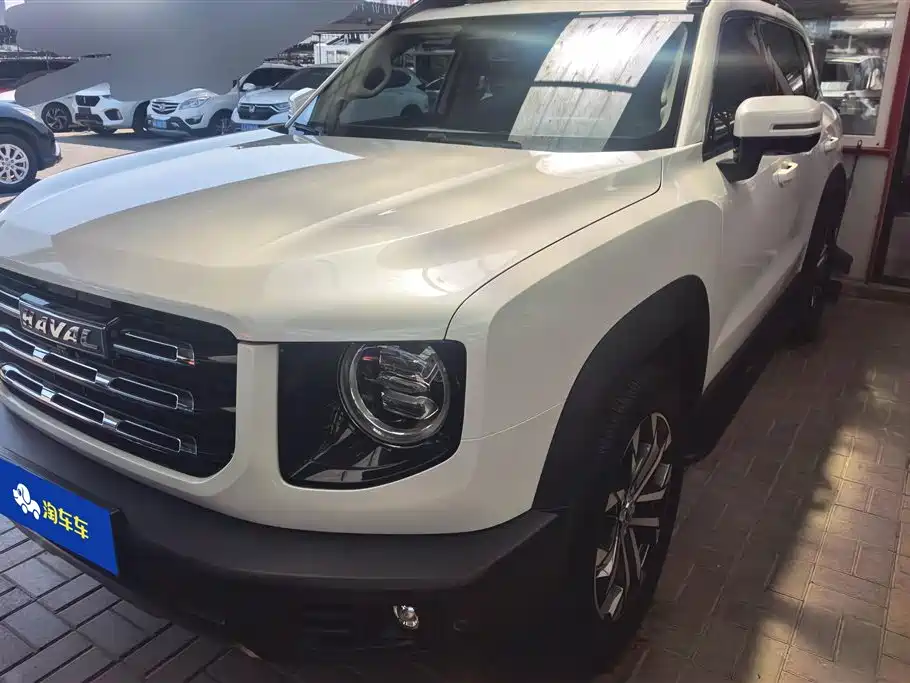 Haval Big Dog 2021 1.5T DCT 2WD Border Collie Edition