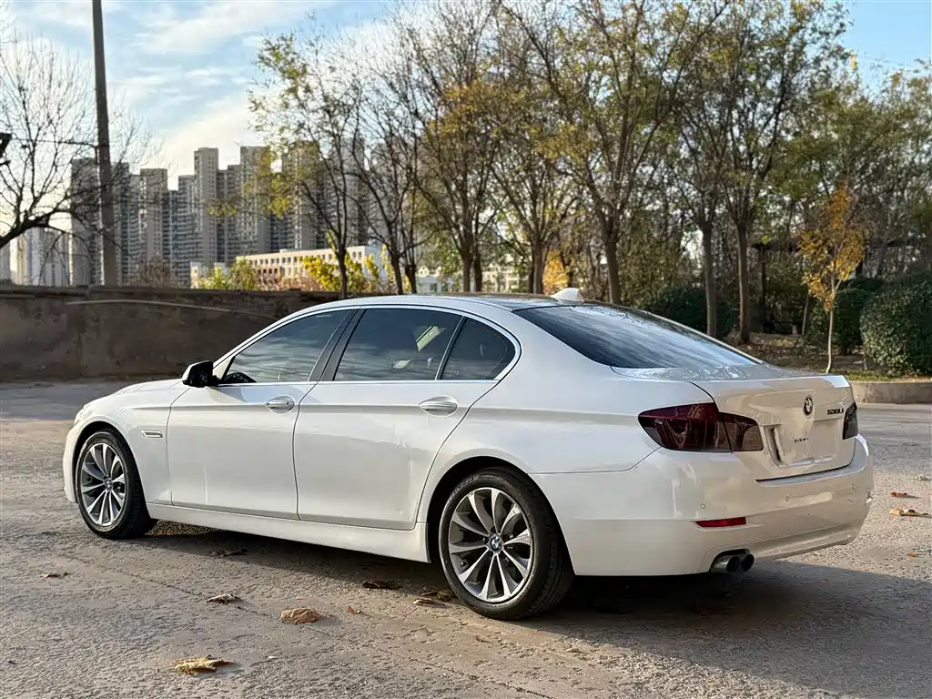 BMW 5 Series 2017 525Li Leading Edition фото 16