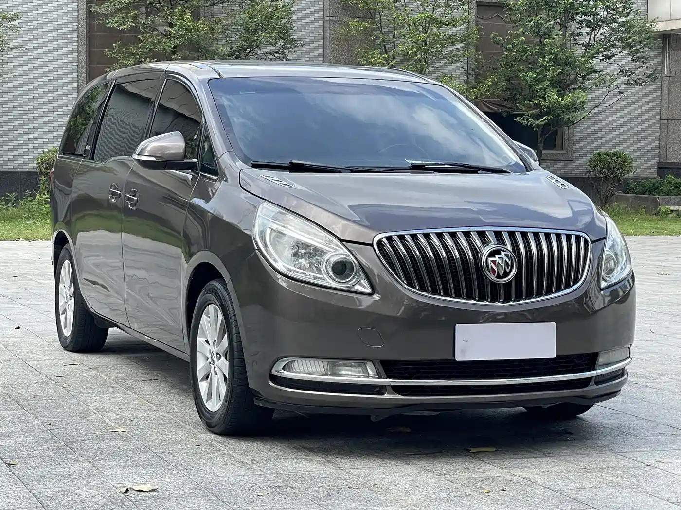 Buick GL8 2014 2.4L CT Luxury Business Comfort фото 3