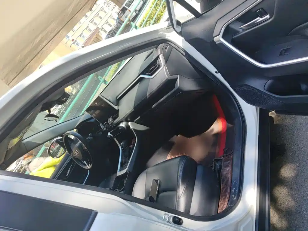 Toyota Wildlander 2020 2020 2.0L CVT AWD Luxury Edition