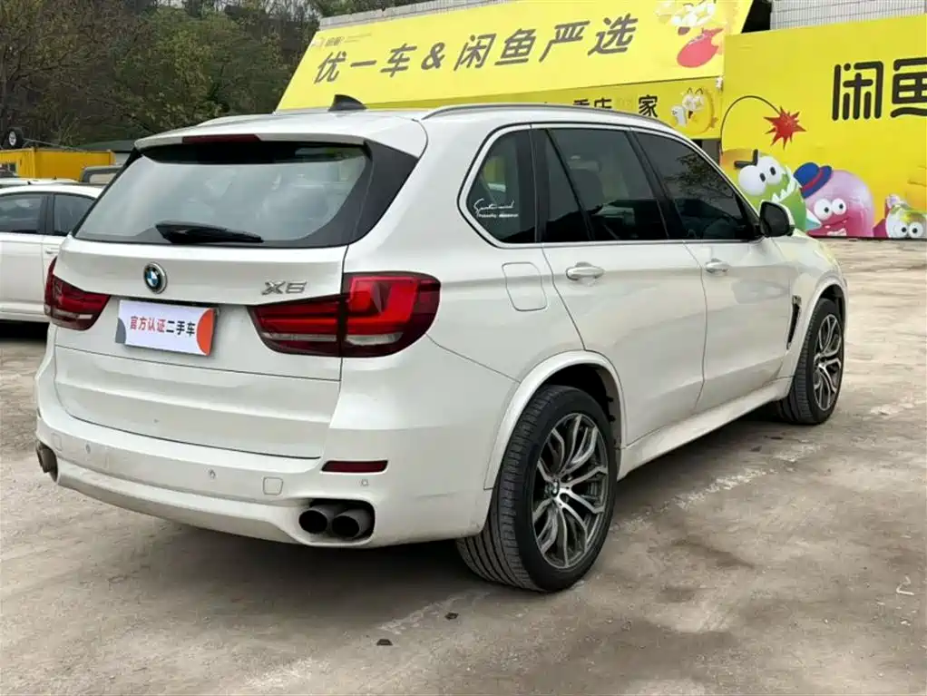 BMW X5 (Import) 2014 xDrive35i Leading фото 5