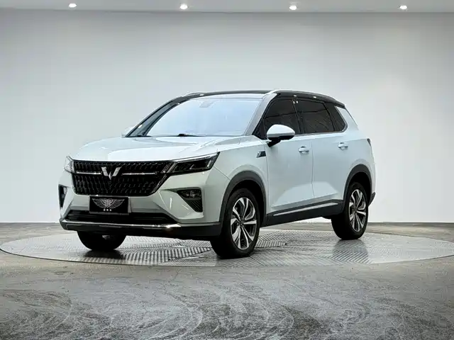  Wuling Motors Wuling Xingchen 2022 2.0L DHT Electric Speed Edition