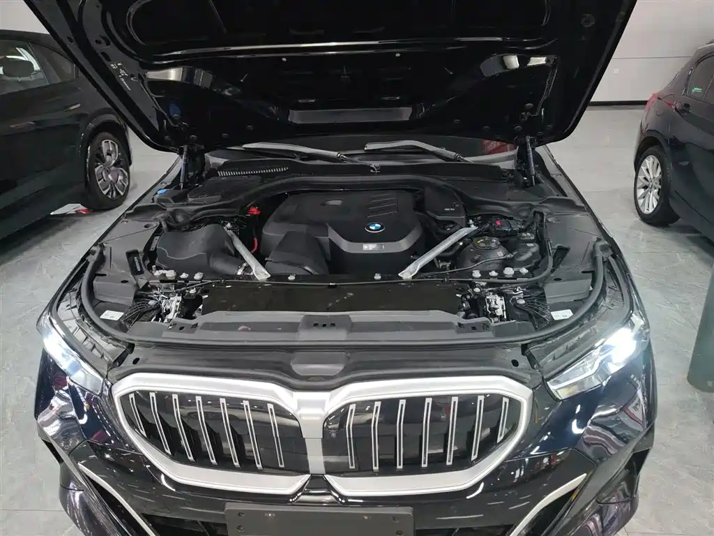 BMW 5 Series 2024 530Li Leading M Sport Package фото 19