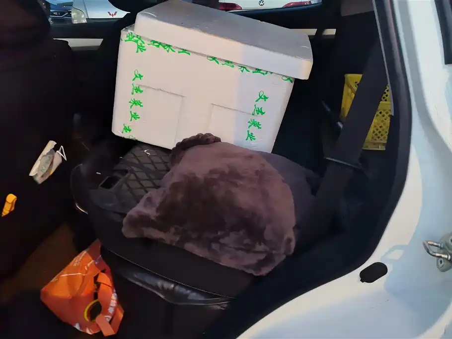 GEELY AUTOMOBILE VISION X6