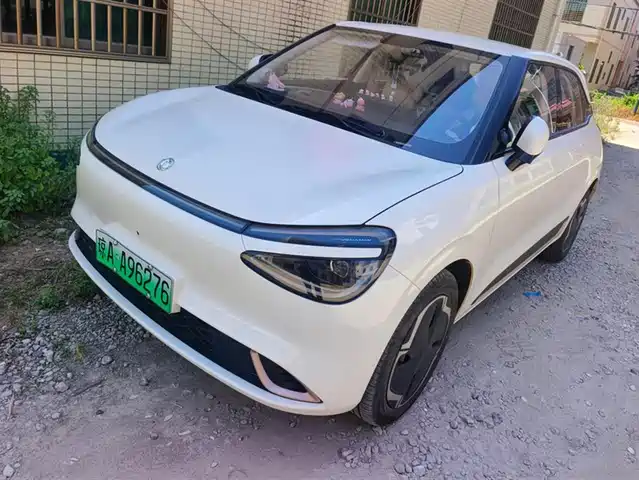 Dongfeng Yipai Nano 01 2024 Renewal Edition 330 Plus Smart+