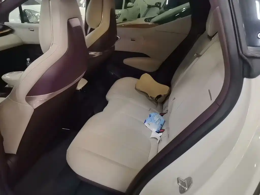 ZEEKR X 2023 2023 RWD YOU Edition 4-seater