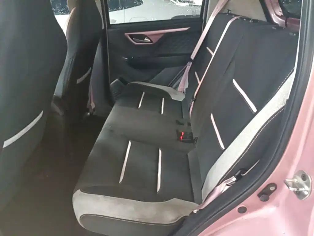 Sehol Flower Fairy 2023 2023 Anniversary Edition 301km Starlight 45kW