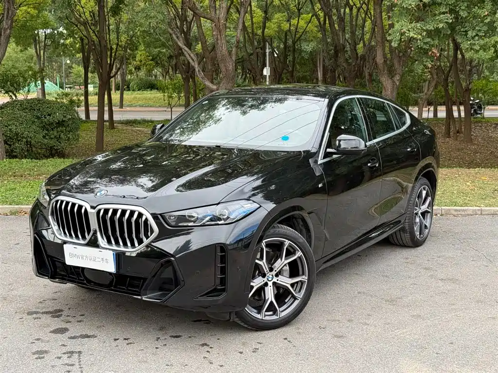 Фото 1 - BMW X6