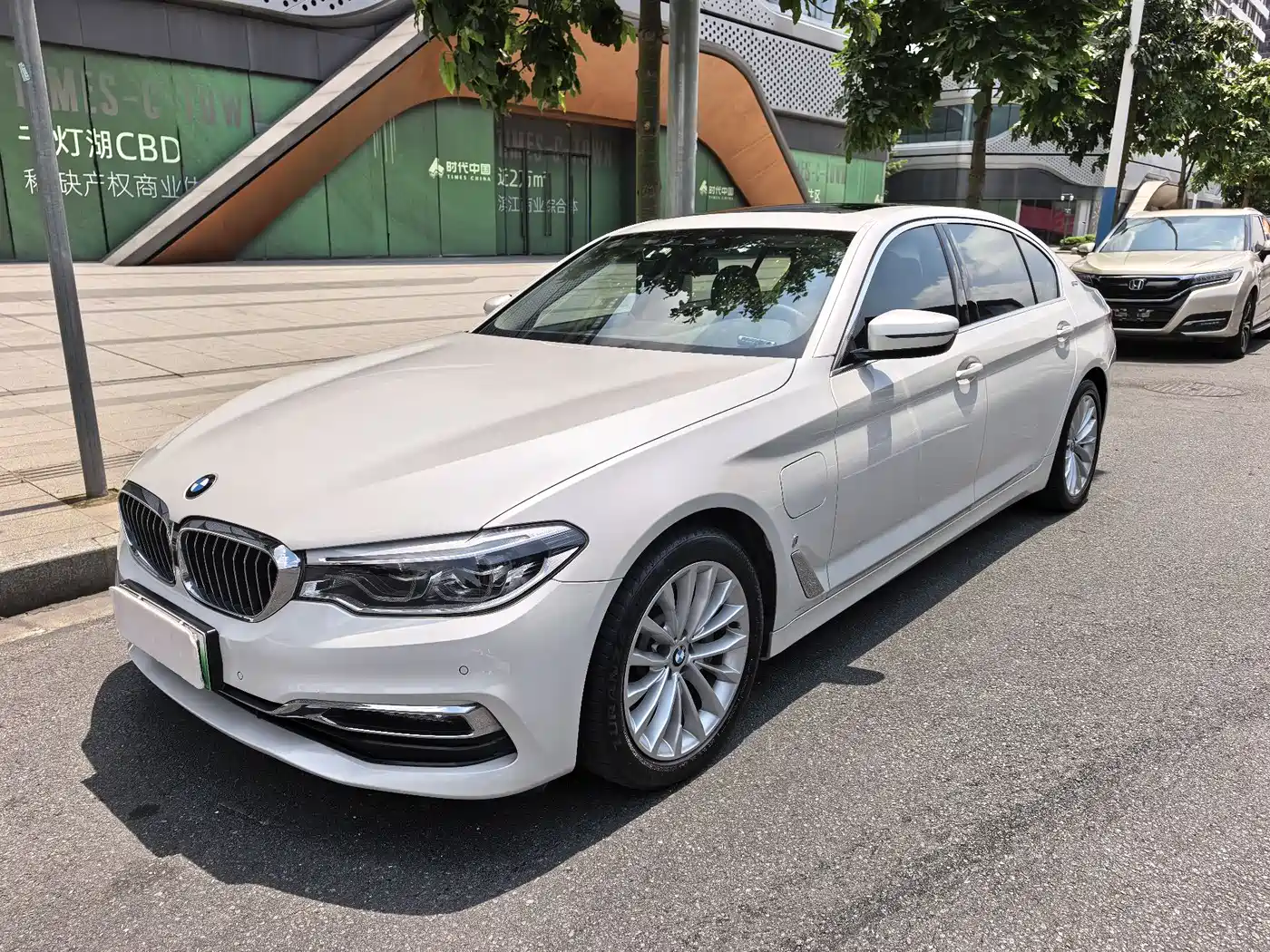 BMW 5 Series New Energy 2019 530Le Luxury Package