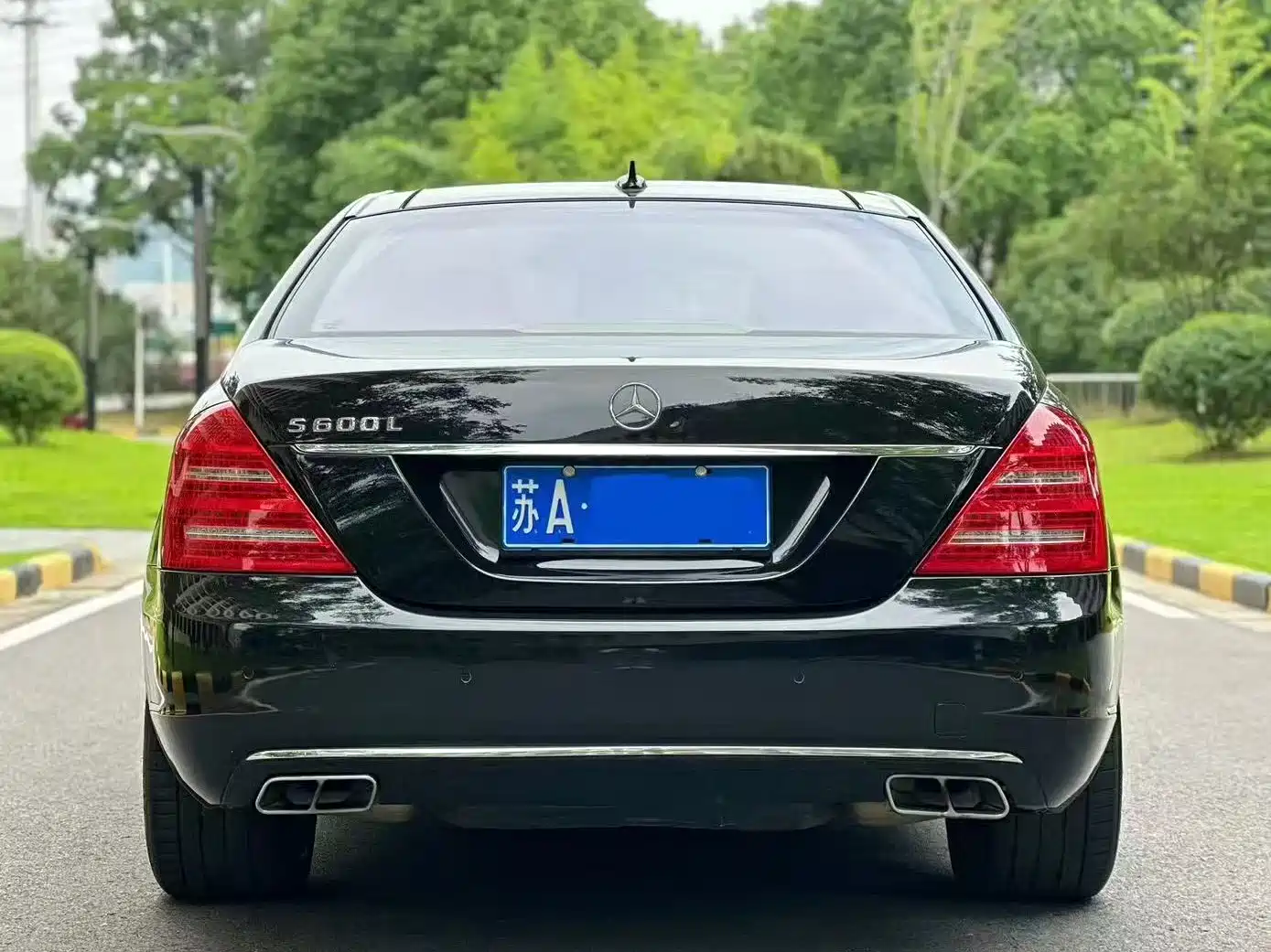 Mercedes-Benz S-Class 2010 S 600 L фото 8