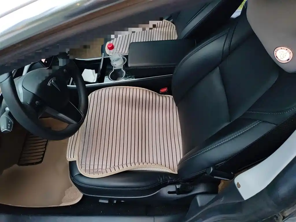 TESLA MODEL 3 (IMPORTED)