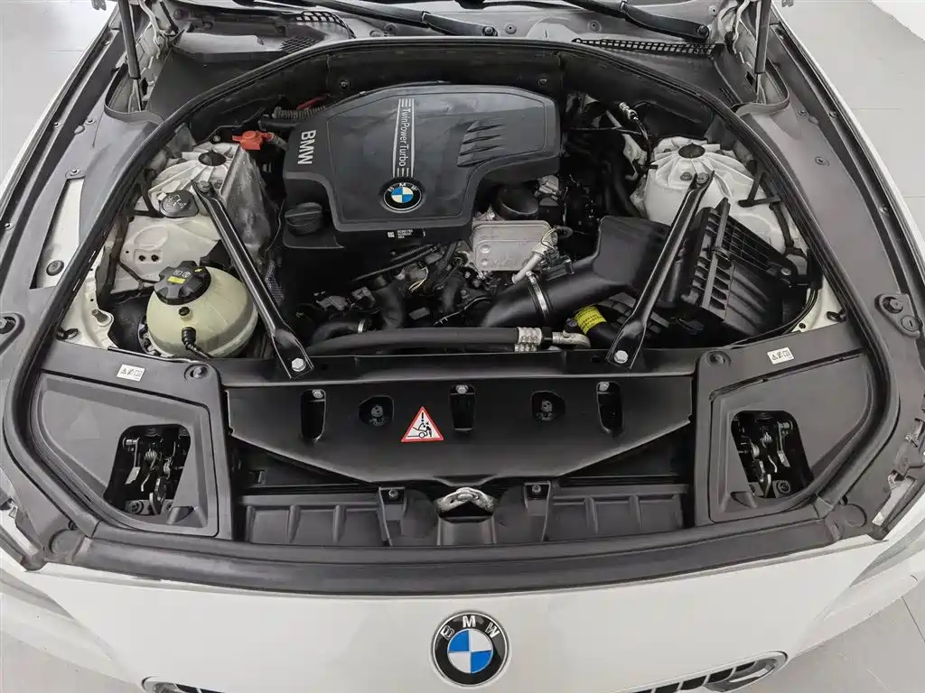 BMW 5 Series 2014 525Li Luxury Design Package фото 6